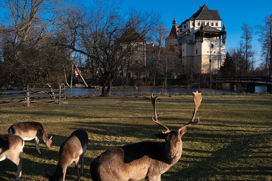 Tip na výlet: Zámecký park Blatná