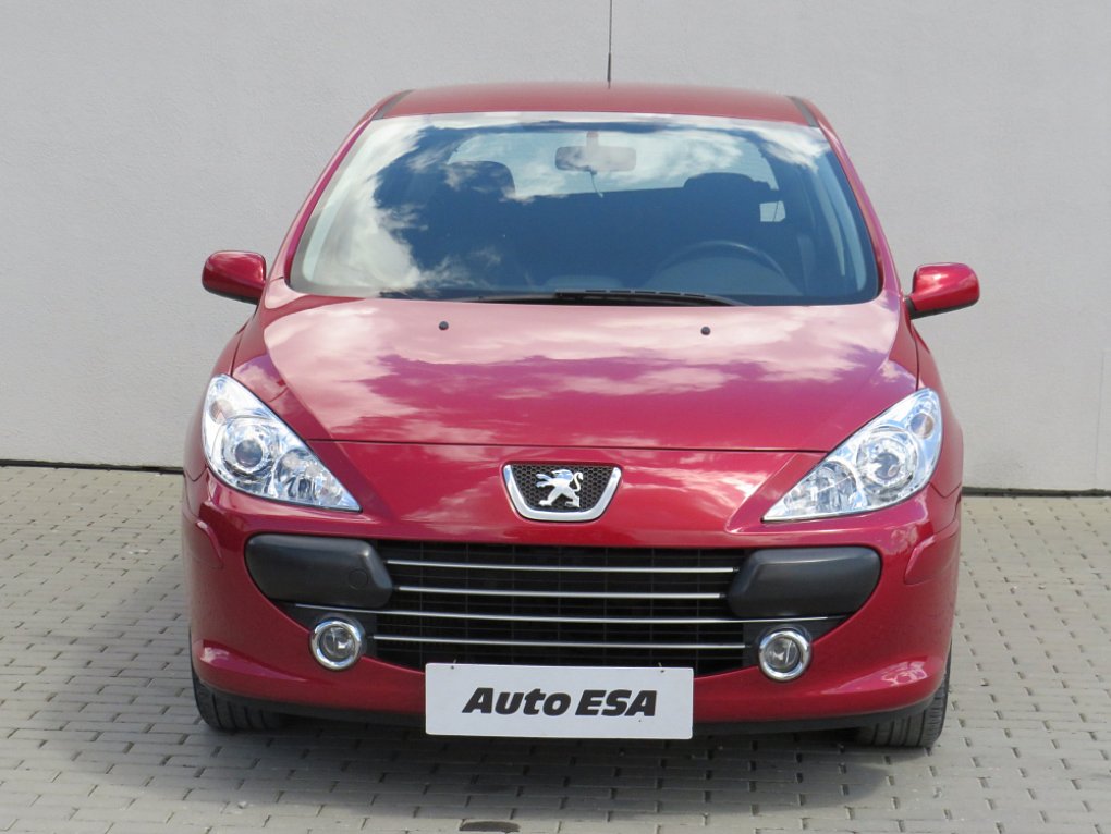 Peugeot 307 2.0i 