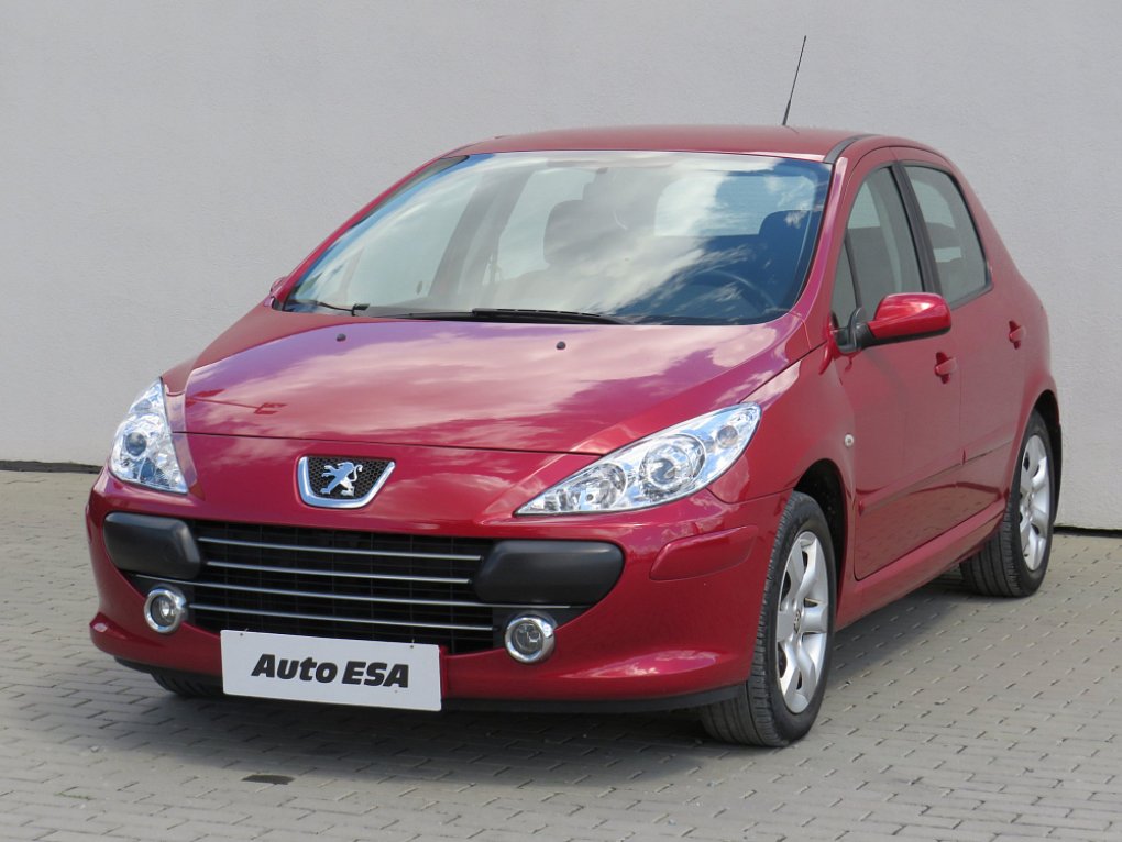 Peugeot 307 2.0i 