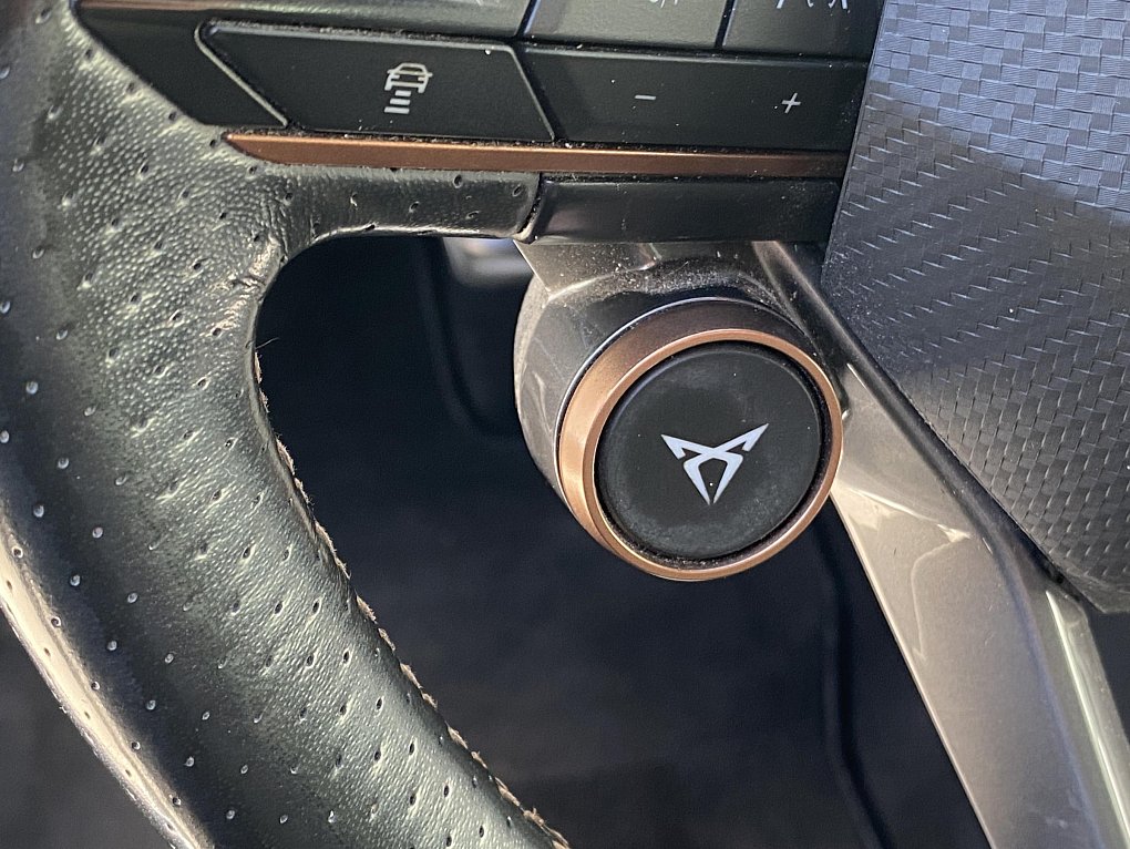 Cupra Formentor 2.0 TSi  4x4