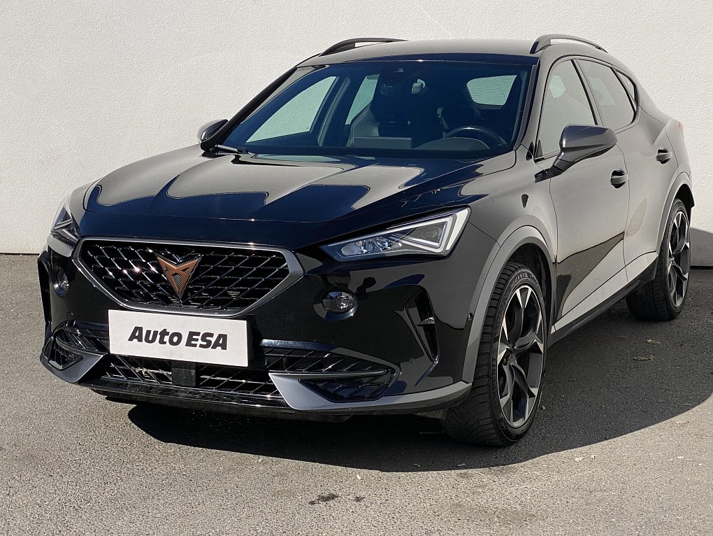 Cupra Formentor 2.0 TSi  4x4