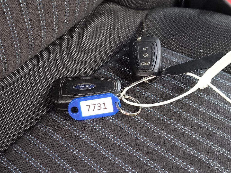 Ford Transit 2.0TDCi Trend L3H3 CHLADÍCÍ
