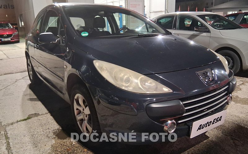 Peugeot 307 1.6i 