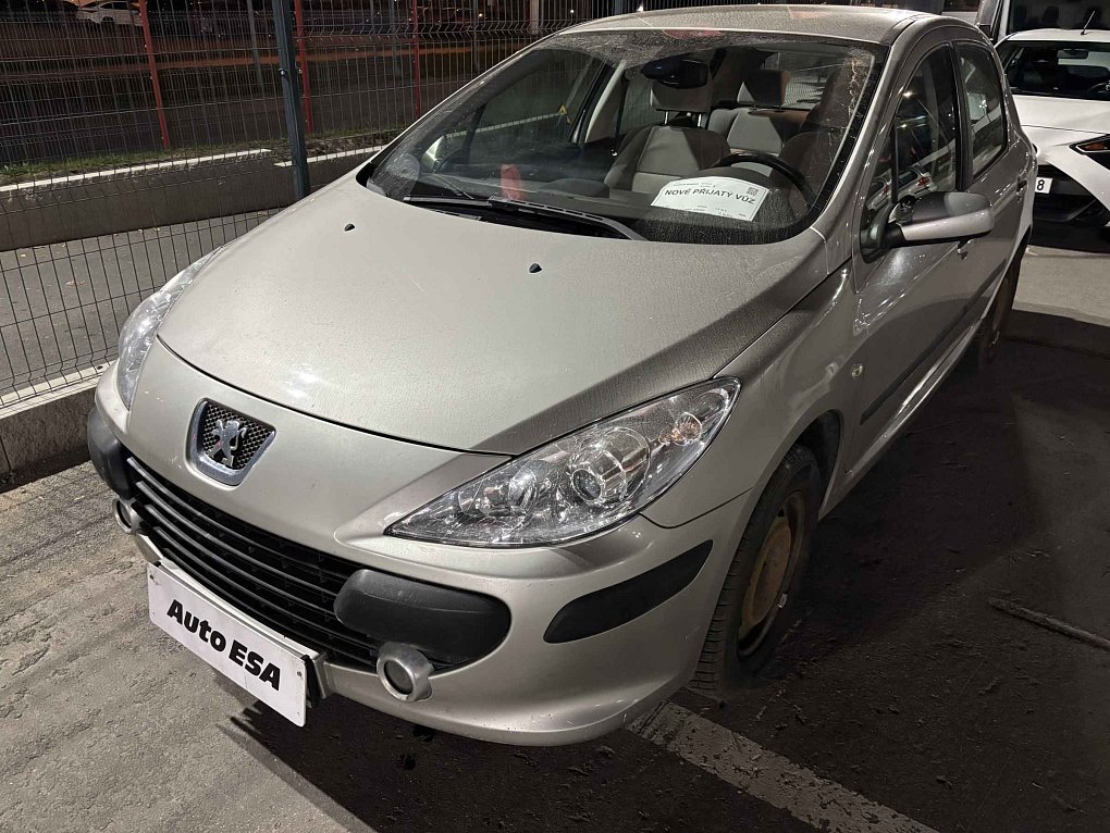 Peugeot 307 1.6 16 V 