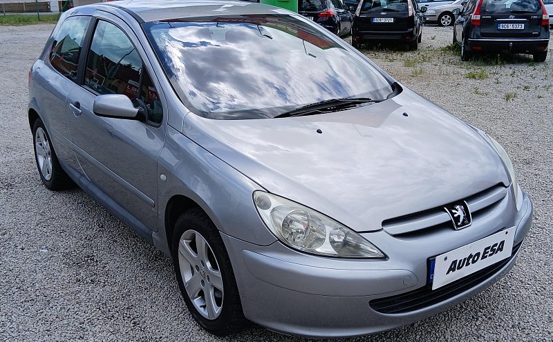 Peugeot 307 1.6i 