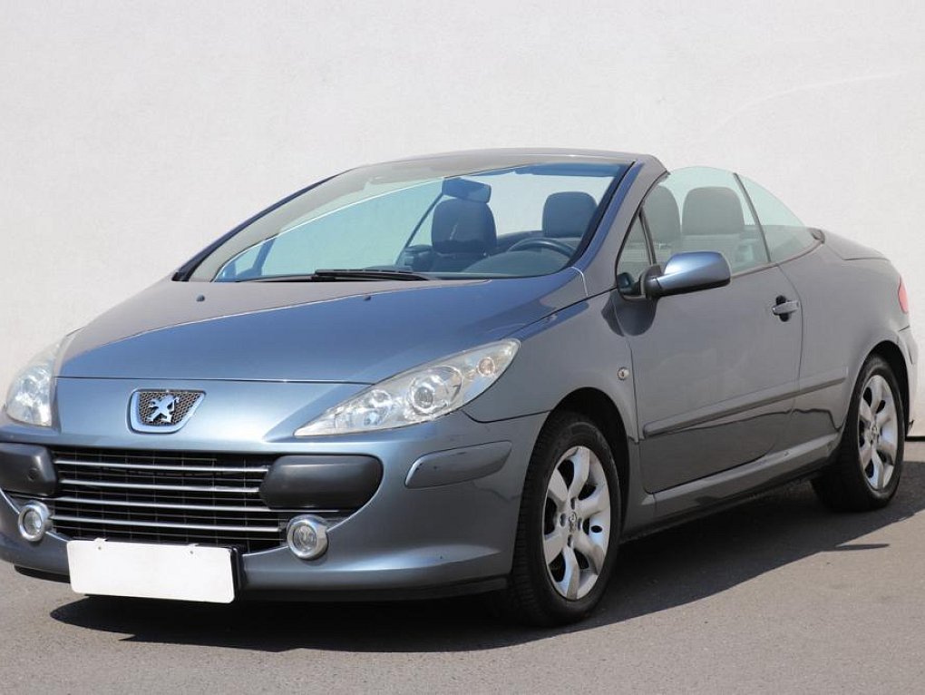 Peugeot 307 1.6 I 