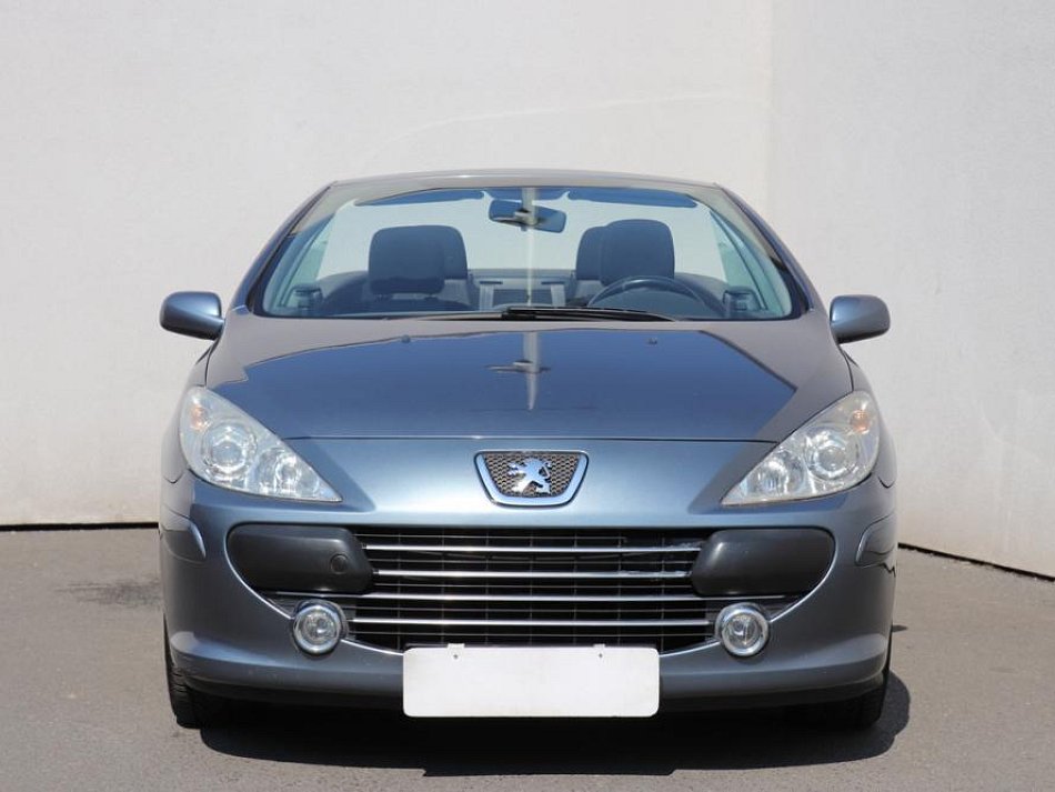 Peugeot 307 1.6 I 