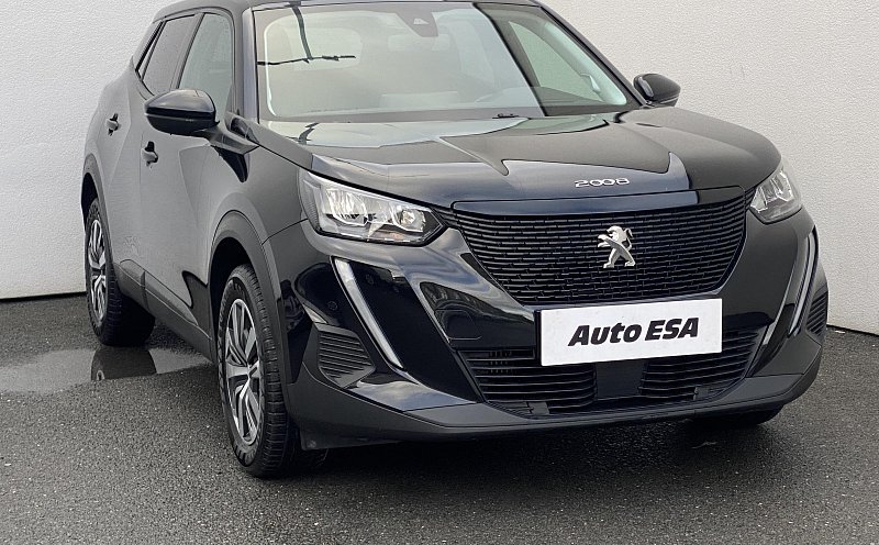 Peugeot 2008 1.2 PT Active