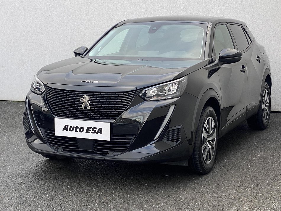 Peugeot 2008 1.2 PT Active