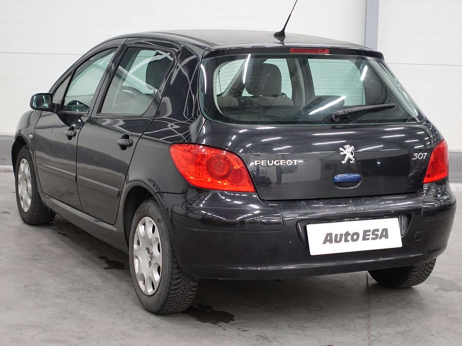 Peugeot 307 1.6i 