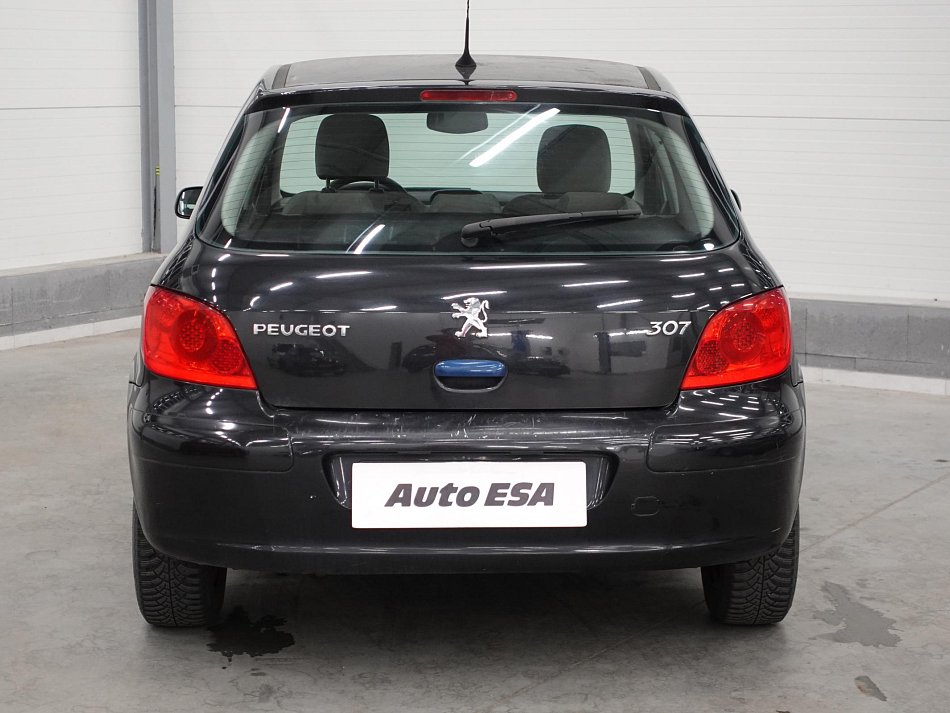 Peugeot 307 1.6i 