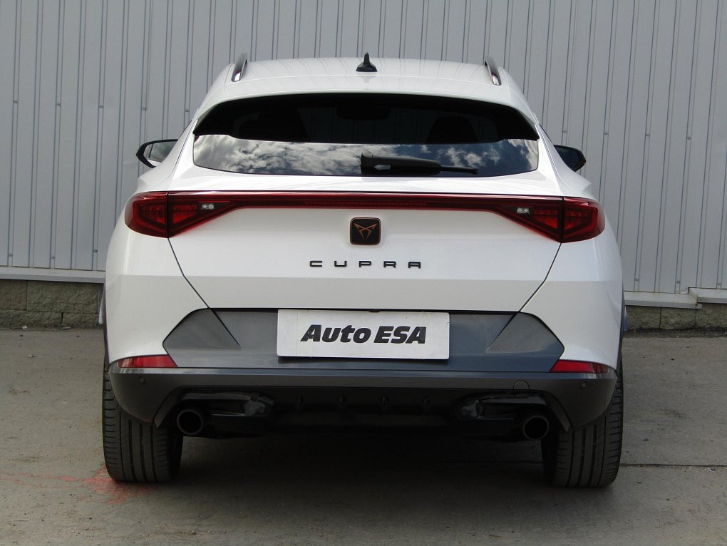 Cupra Formentor 2.0 TSi 
