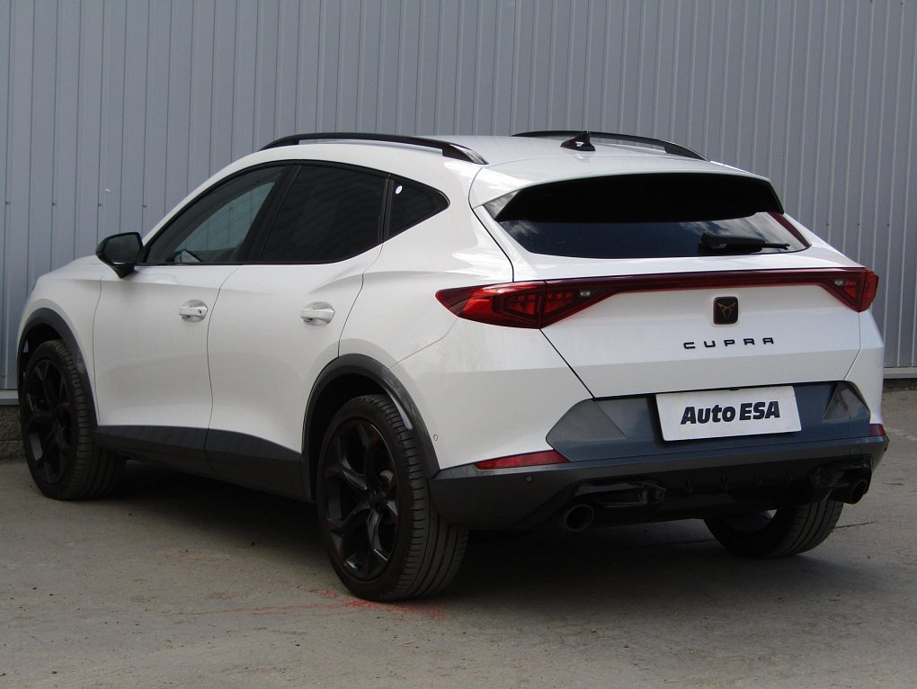 Cupra Formentor 2.0 TSi 