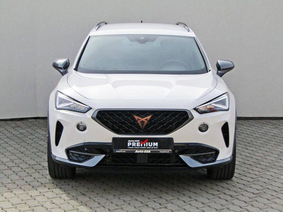 Cupra Formentor 2.0 TSi 