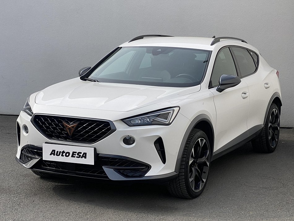 Cupra Formentor 2.0 TSi  4Drive