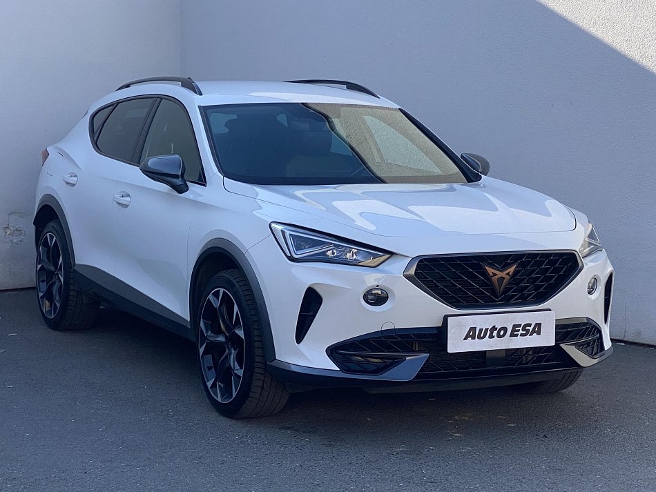 Cupra Formentor 2.0 TSi  4Drive