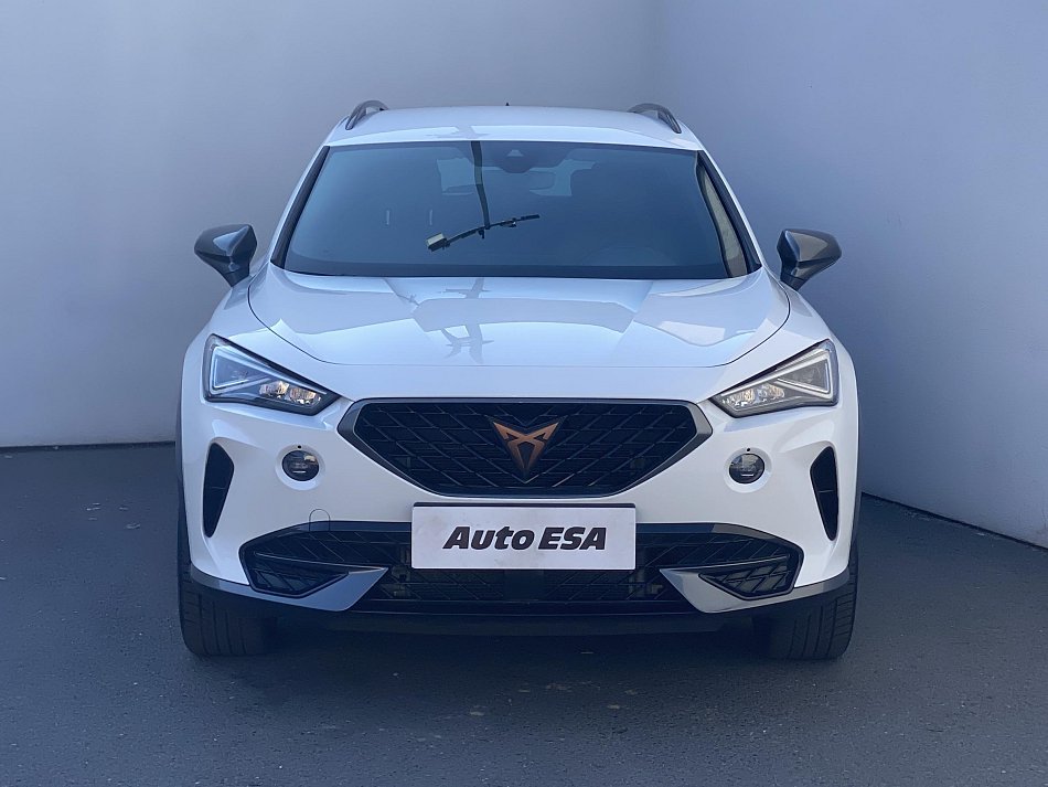 Cupra Formentor 2.0 TSi  4Drive