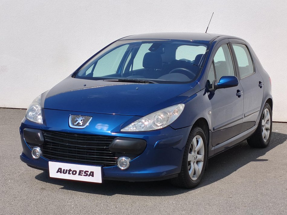 Peugeot 307 1.6 