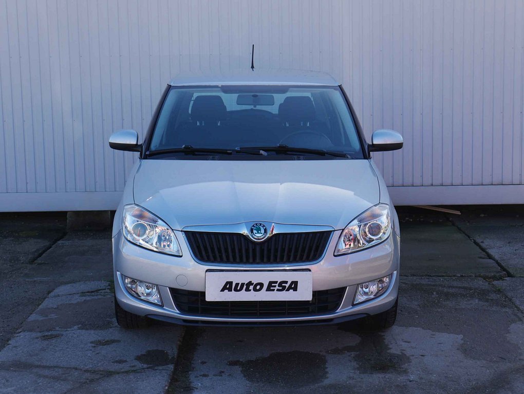 Škoda Fabia II 1.2 12V 