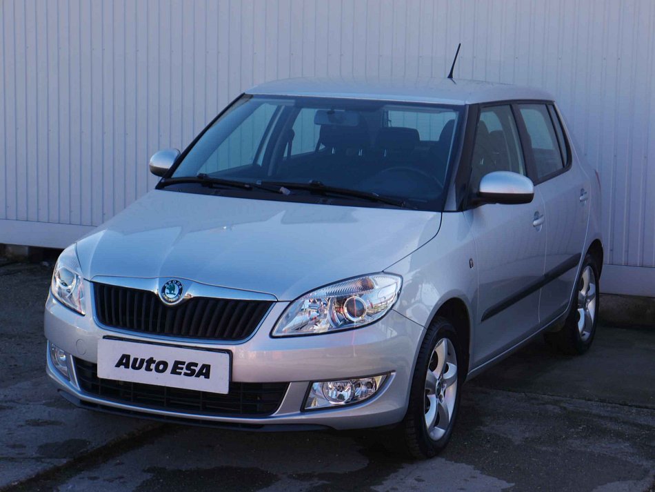 Škoda Fabia II 1.2 12V 