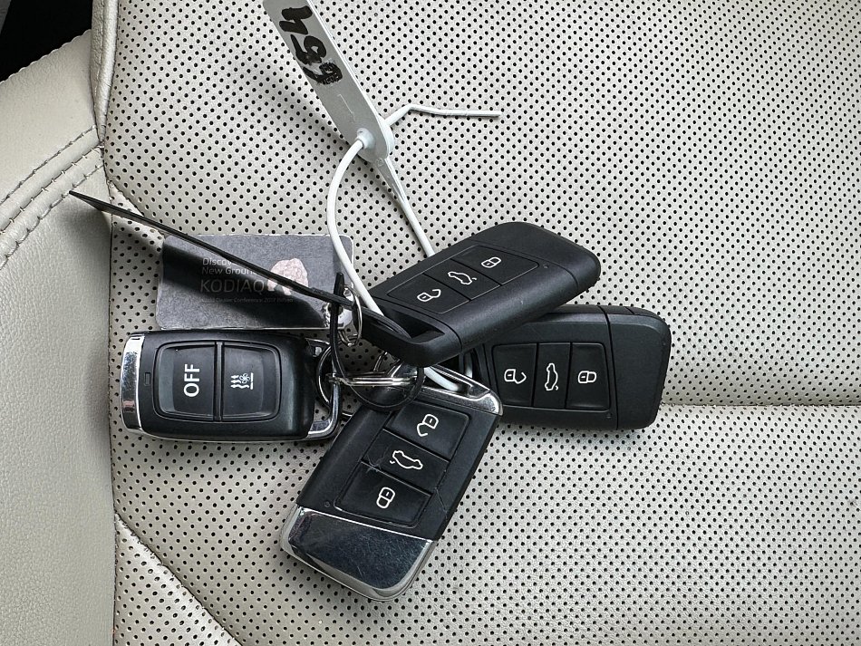 Škoda Kodiaq 2.0 TDi  4x4