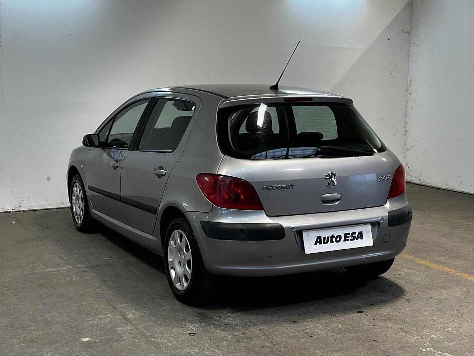 Peugeot 307 1.6i 
