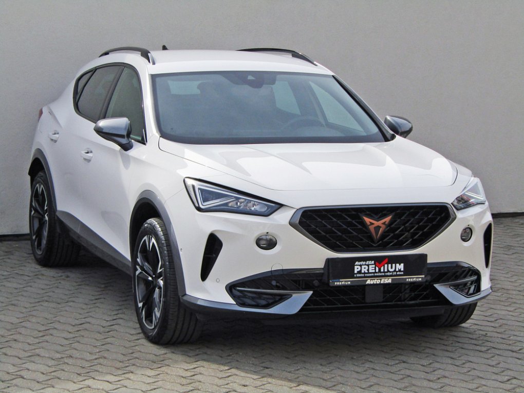 Cupra Formentor 2.0 TSi  4 Drive