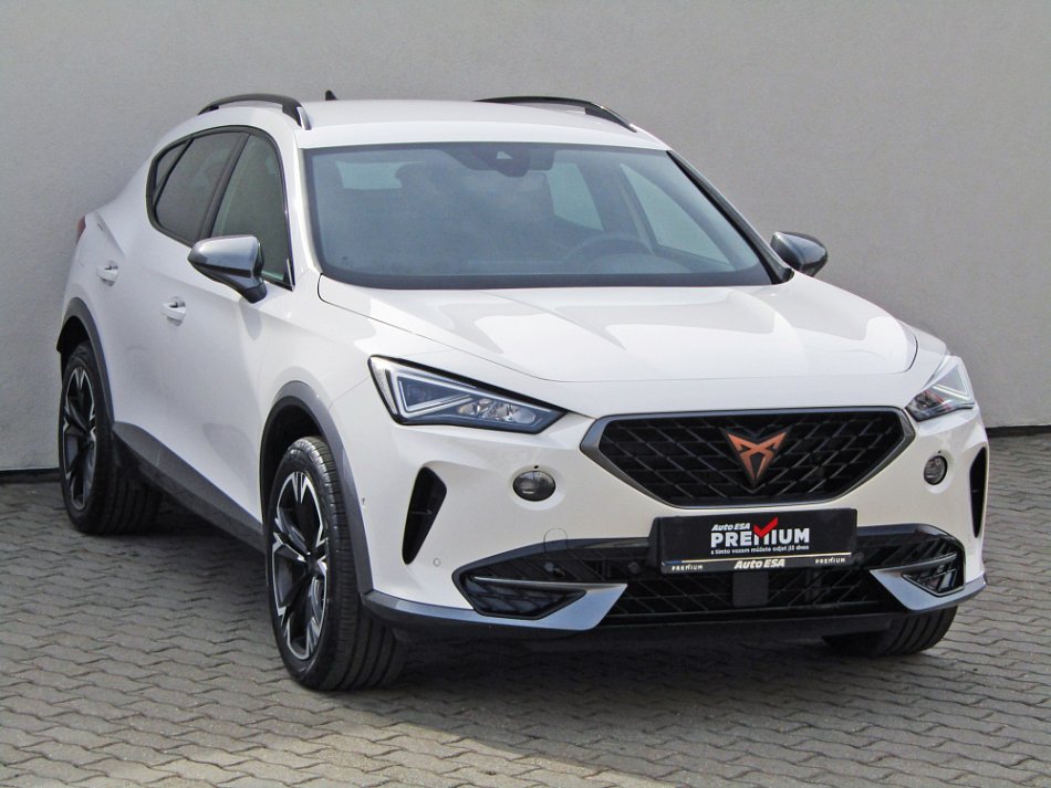 Cupra Formentor 2.0 TSi  4 Drive