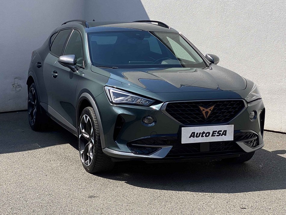 Cupra Formentor 2.0 TSi  4Drive