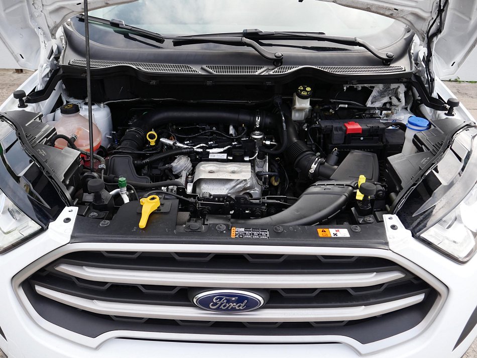 Ford EcoSport 1.0 EB 